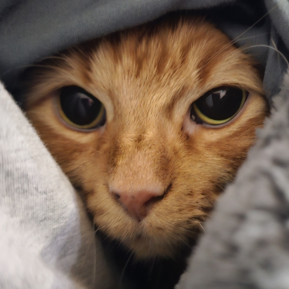 Meet your Posher, Taty